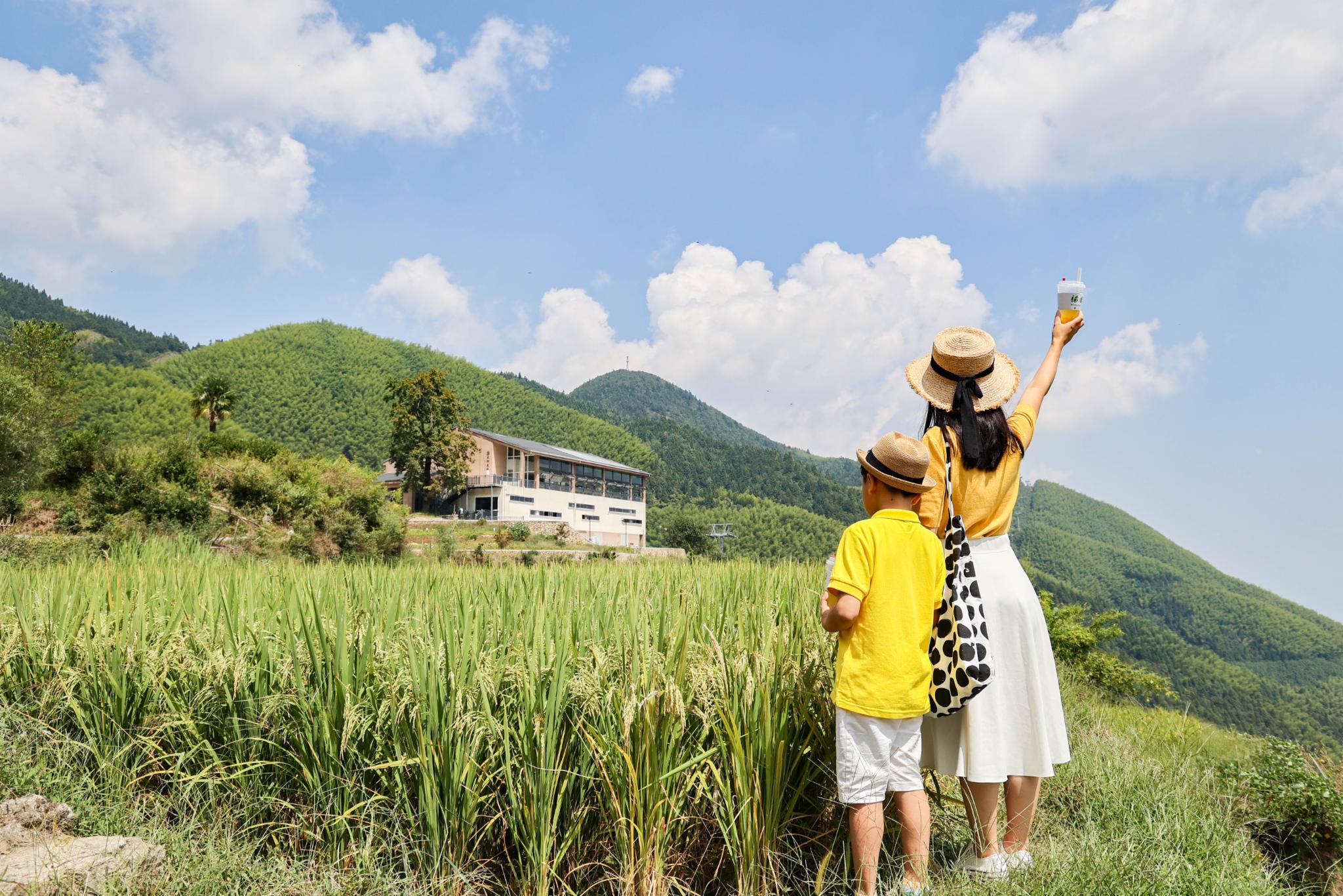 云端梯田，乐趣山野，在丽水云和的诗画田园梦生活 