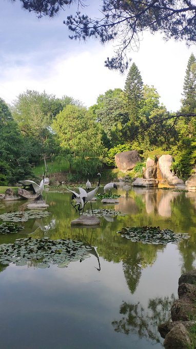 廈門園林植物園圖片