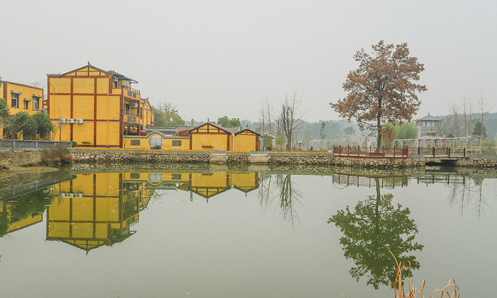 "...季节，但在武汉市黄陂区姚家集杜堂村的木兰花乡景区内，雄鹰却看到了不同寻常冬日所能看到的美丽景色_木兰花乡景区(木兰不夜城)"的评论图片