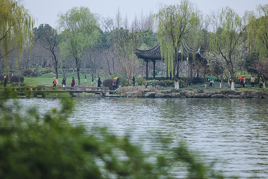 柯桥水上旅游巴士旅游景点图片