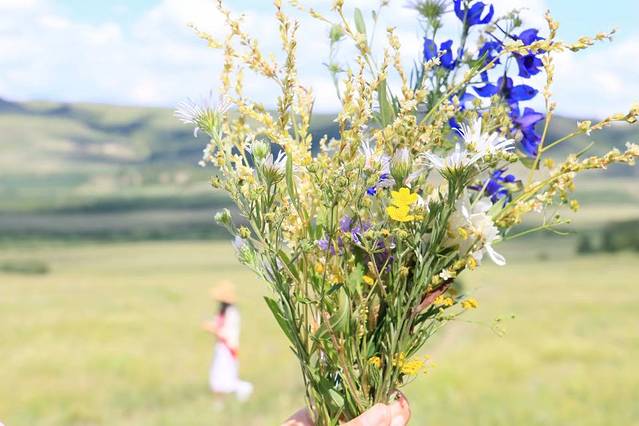 桦木沟国家森林公园