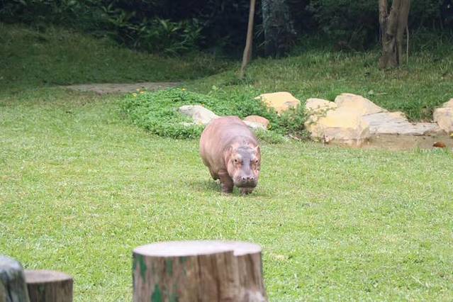 香港动植物公园