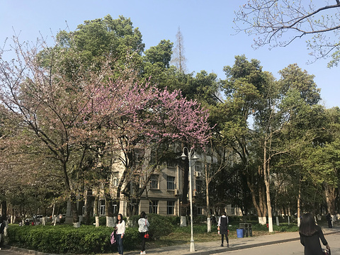 南京林业大学旅游景点攻略图