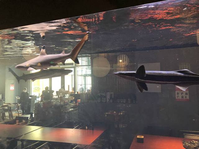 炙柒Sekinana·精致日料铁板烧(长泰广场店)