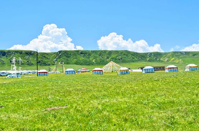青海刚察草原