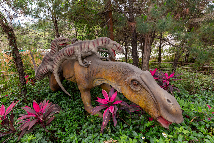 恐龙一直都非常受小朋友喜欢隐贤山庄的恐龙也是种类较多且神态各异在