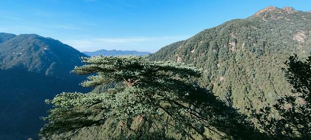 莽山五指峰景区