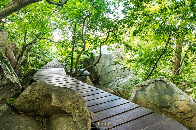 花果山风景区-怪石园
