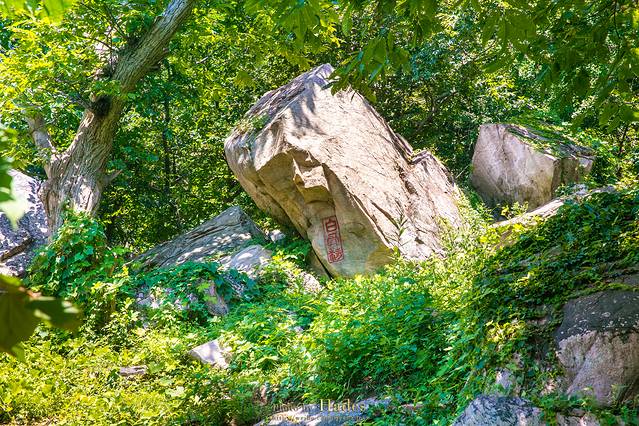花果山风景区-怪石园