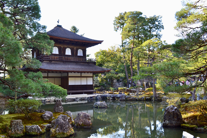 "银阁寺本名慈照寺，与金阁寺一样，同为临济宗相国寺派寺院，也是室町时代所建。银阁寺门票_银阁寺"的评论图片