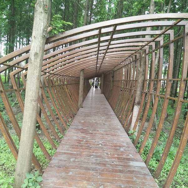 2019浦江郊野公园门票,上海浦江郊野公园游玩