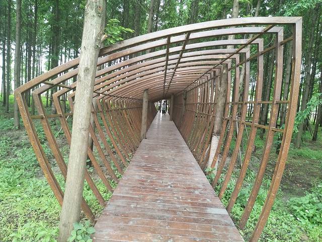 2019浦江郊野公园门票,上海浦江郊野公园游玩