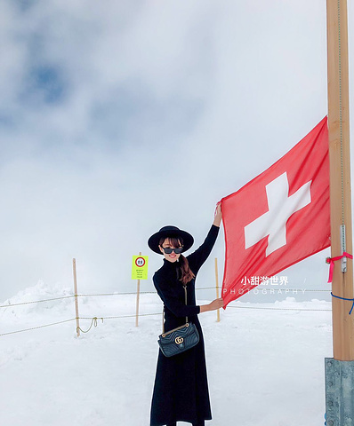 "瑞士值得游览的圣地——少女峰。这里的中文导游、中文讲解、中文登山证书一应俱全_少女峰"的评论图片