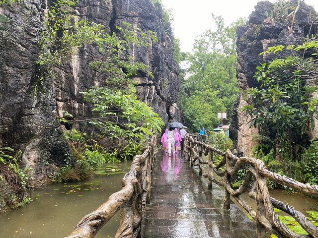 "阴雨天气的大瀑布景区真的宛如人间仙境，虽然全身都是水汽，但眼睛得到了满足_黄果树瀑布"的评论图片