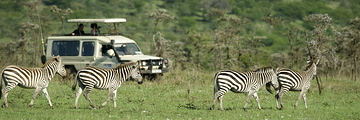 肯尼亚旅游景点攻略图片