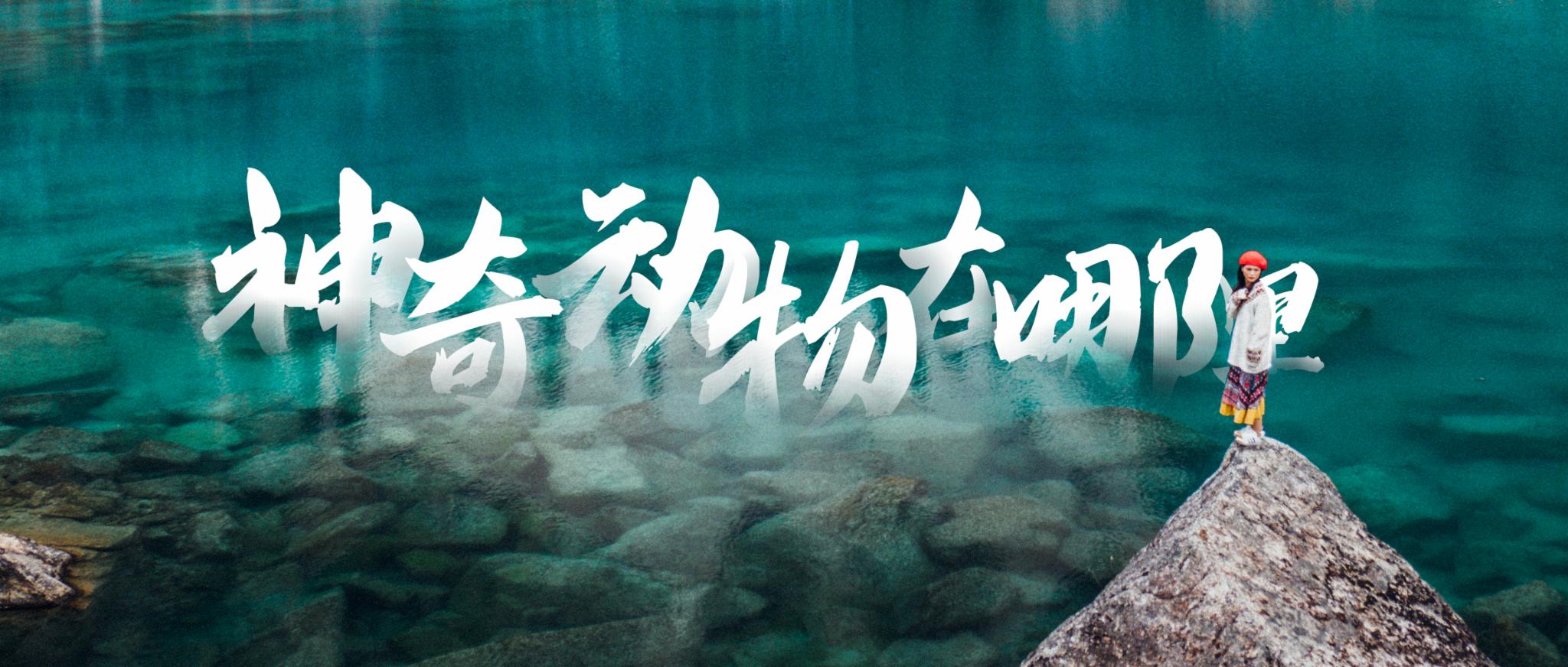 神奇动物在哪里？在春天的措普沟景区里