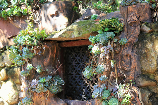 大理苍山植物园旅游景点图片