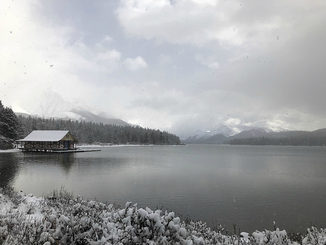 "玛琳湖因为冬季游船停运，所以只能在湖边拍一下照片，留下了些许遗憾，但是幸运也不期而遇，我们又看..._玛琳湖"的评论图片
