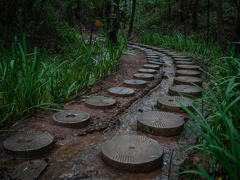 马陵山风景名胜区旅游景点图片