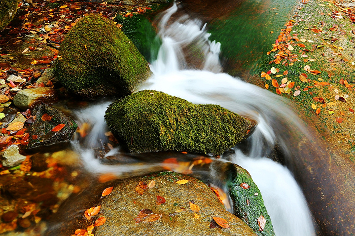 "光雾山|最佳旅游季节是秋季_光雾山旅游景区"的评论图片