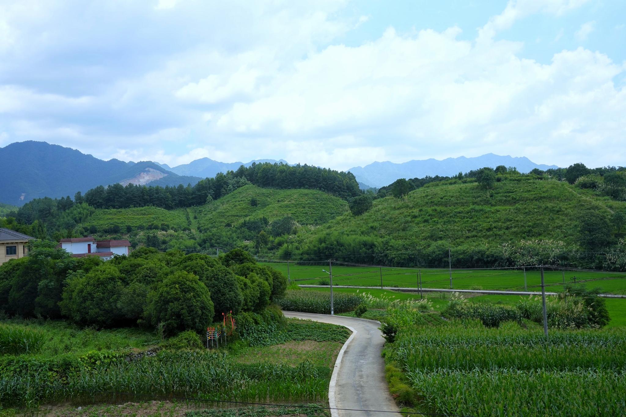 走进建德的小村落，感受乡野情趣，找回童年的快乐！