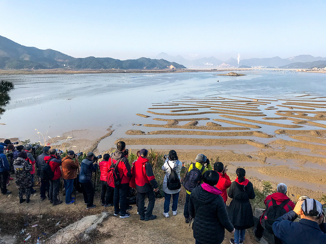 "...堤形成了奇妙的图案，线条粗犷、硬朗，随着潮起潮落，若隐若现，有时特别像甲骨文，是滩涂景色的奇观_南湾"的评论图片