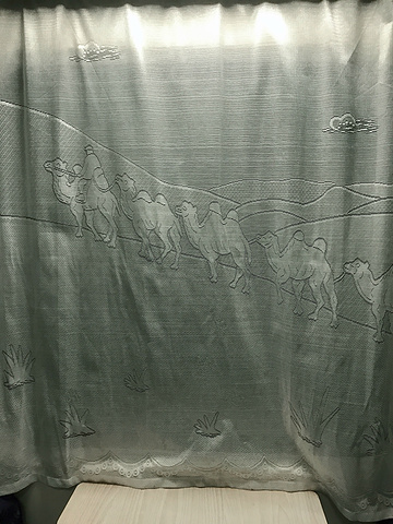 "窗帘都是带着带有宁夏沙漠骆驼特色。周四下班，火速坐地铁前往北京西站_北京西站"的评论图片