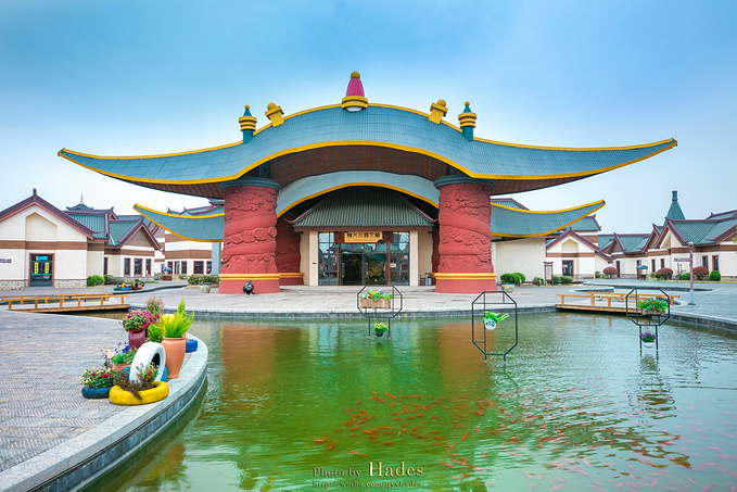 花开赏春趣 相约游金湖 -金湖旅游攻略-游记-去哪儿攻略