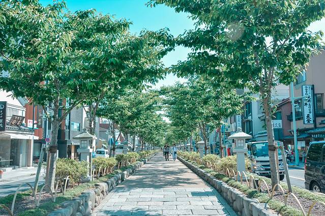 镰仓小町通