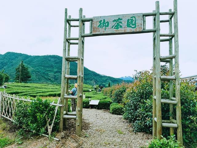 大木山茶园景区