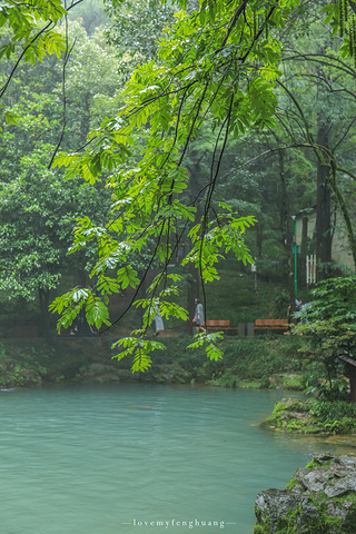 "烟雨朦胧下的双瑶池，仿佛仙境一般。中国溶洞之最的冰壶之瀑？如何躺着进洞_双龙风景旅游区"的评论图片