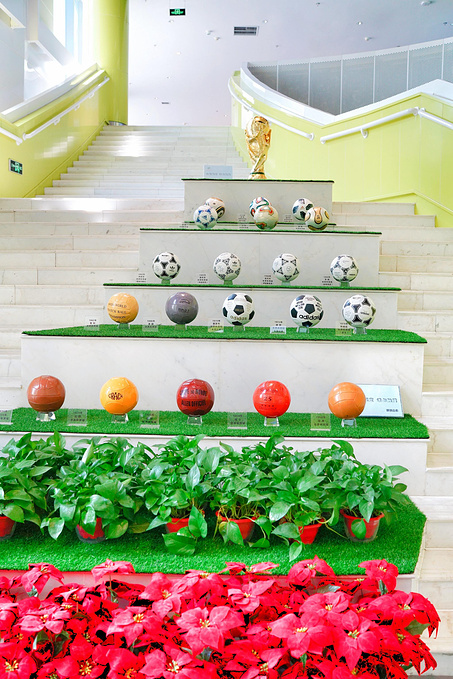 唐山南湖足球主题酒店图片