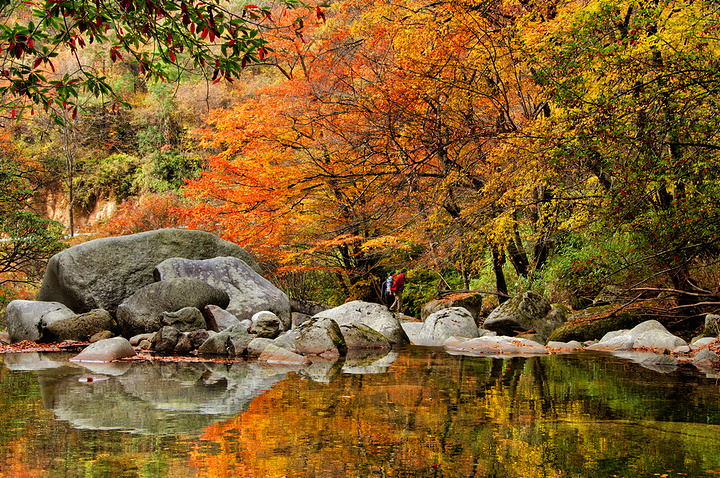 "光雾山|最佳旅游季节是秋季_光雾山旅游景区"的评论图片