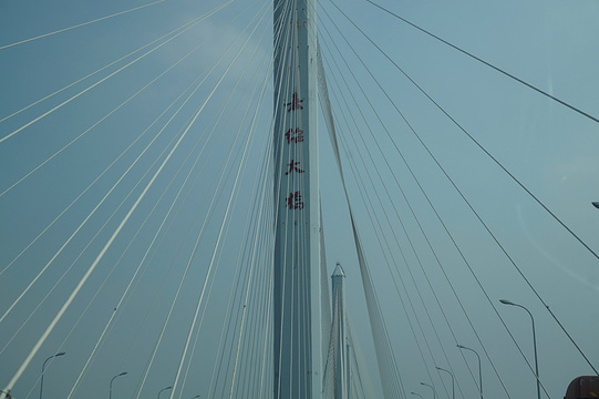嘉绍大桥旅游景点图片