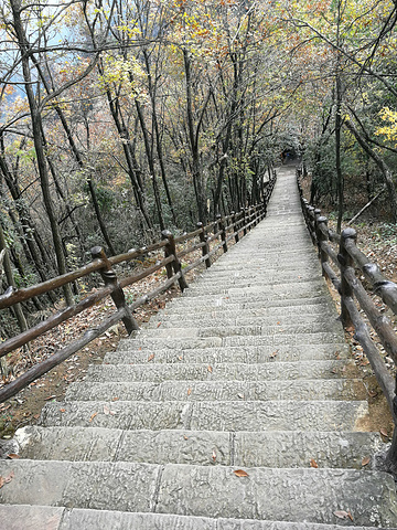 下山的景色还是不错上山下山最好的是能看到沿途的景色走走停停拍拍照