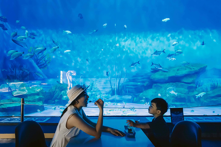 "【人鱼童话】是这里最震撼人心的秀，数条美人鱼在海底上演着童话般的故事。⬇乐园内最大的餐厅【沙塔餐厅】_上海海昌海洋公园"的评论图片