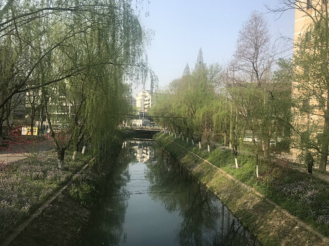 南京林业大学旅游景点图片