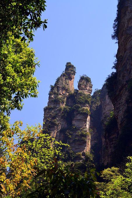 金鞭溪大峡谷图片