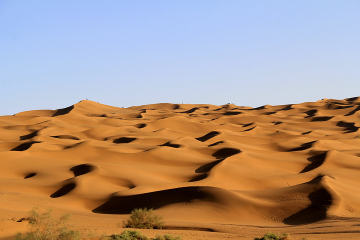 "沙漠景区处于炎热地带，因此建议在游玩时间最好选择清晨或黄昏时间段进入_库木塔格沙漠"的评论图片