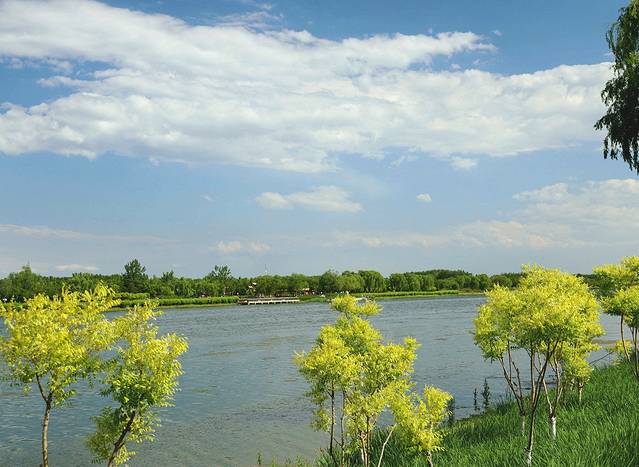 大运河森林公园