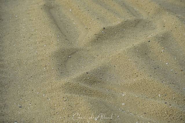 柳叶湖沙滩公园