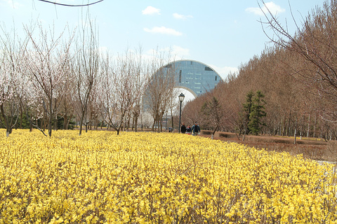 长春国际汽车公园旅游景点攻略图