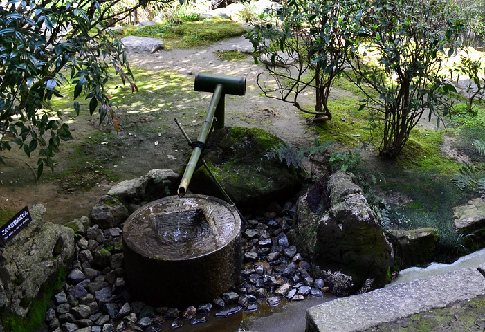 "据说枯山水是由我国汉代传入日本，用碎砂石铺地表现水景，用叠放的石块表现山景，有些还会有其他一些..._龙安寺"的评论图片