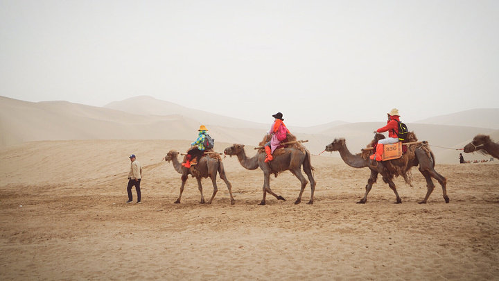 "鸣沙山曾被“中国国家地理”评为中国最美的5大沙漠之一。鸣沙山，驶入沙海深处，寻一段故事与传奇_鸣沙山月牙泉"的评论图片