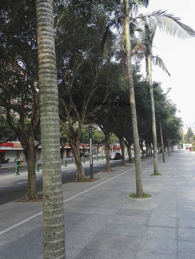 平潭海岛国家森林公园