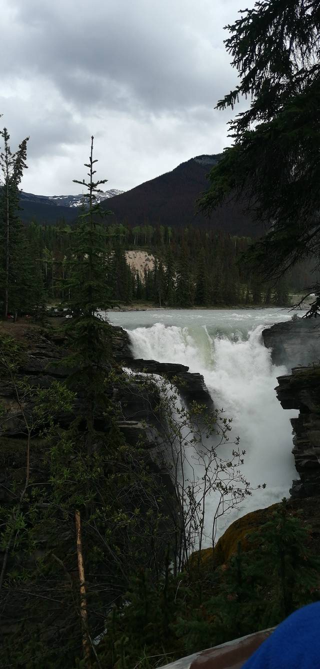 阿萨巴斯卡瀑布