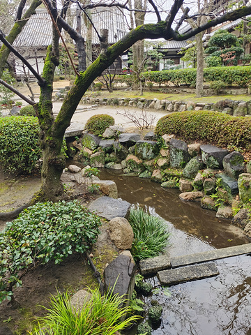 21大阪观光正式开始 第一站四天王寺花园300 博物馆0 景点的亮点是本坊庭园 有一个池塘叫做龟池 四天王寺 评论 去哪儿攻略