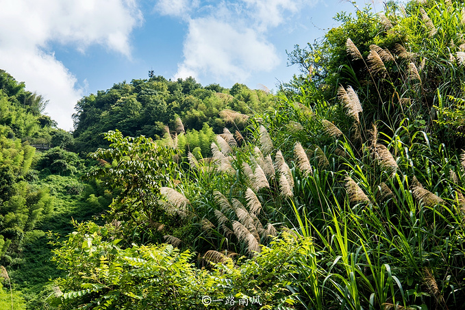 大余县梅岭景区图片