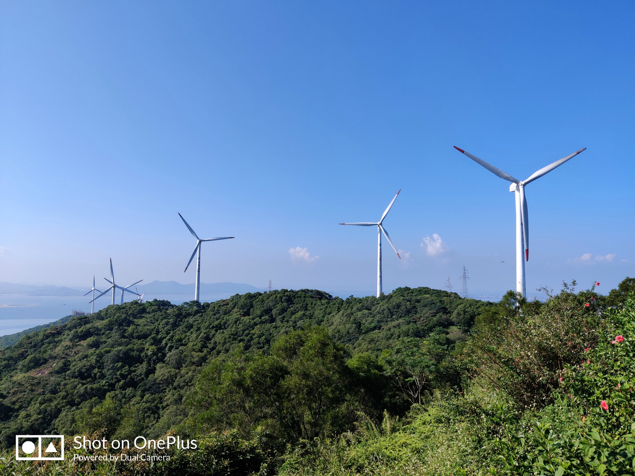 阳江少万人口_阳江市区有多少人口(3)