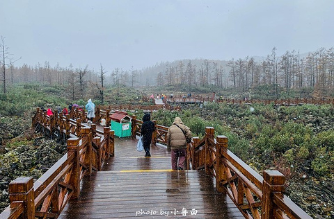 石塘林旅游景点攻略图